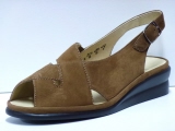 13201 semler